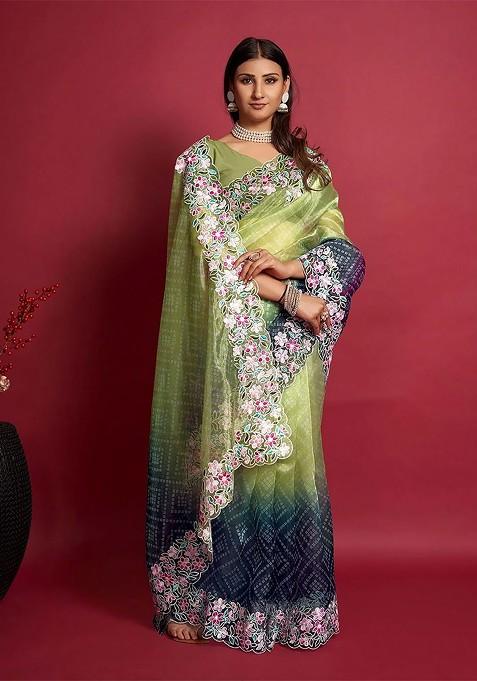 Floral Embroidered Organza Saree