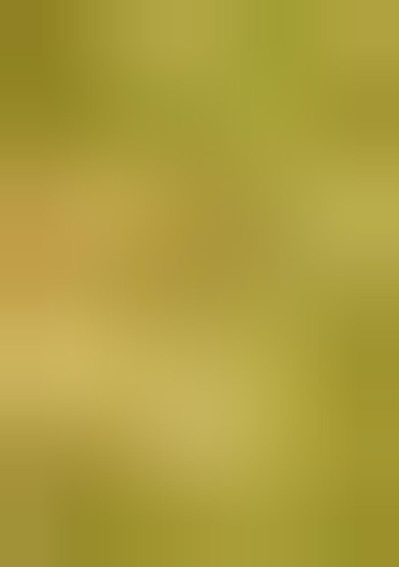 Green Jacquard  Skirt - Indya