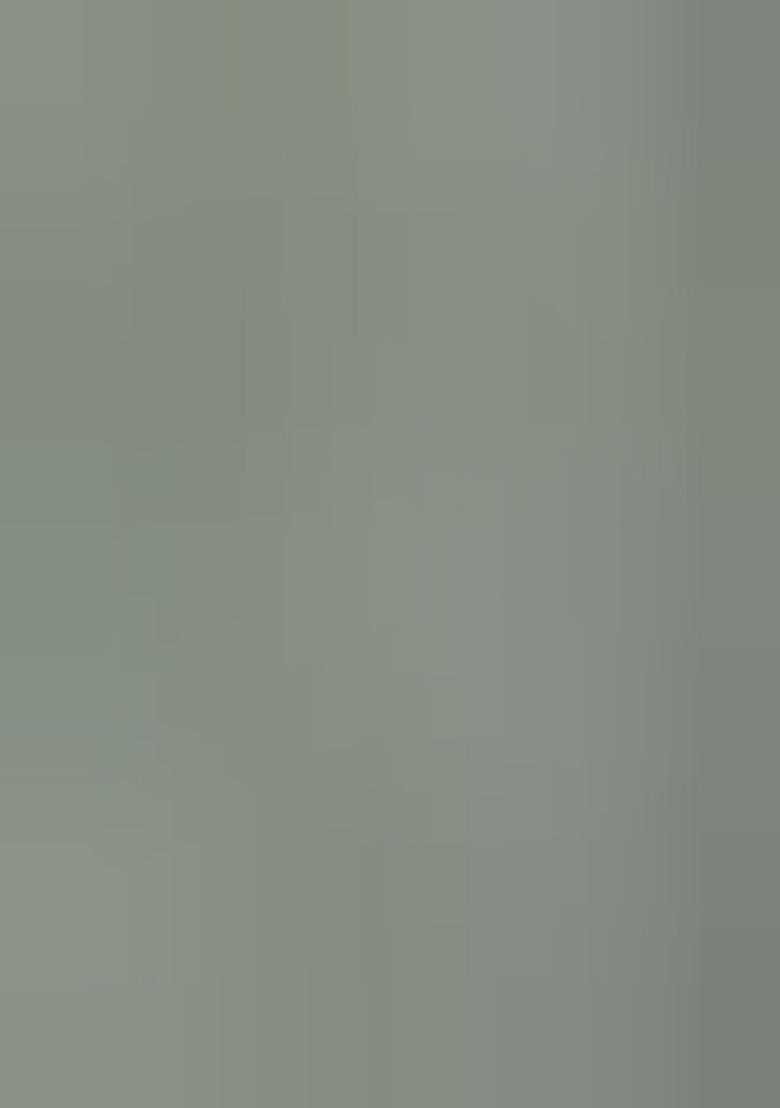 Girls Pista Green Printed Chiffon Lehenga Set