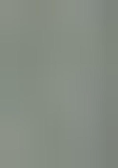 Girls Pista Green Printed Chiffon Lehenga Set