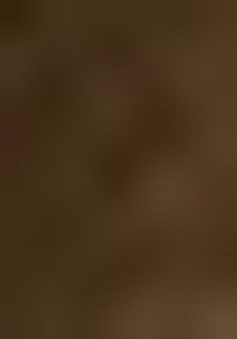 Girls Brown Solid Tissue Pre Draped Saree Set