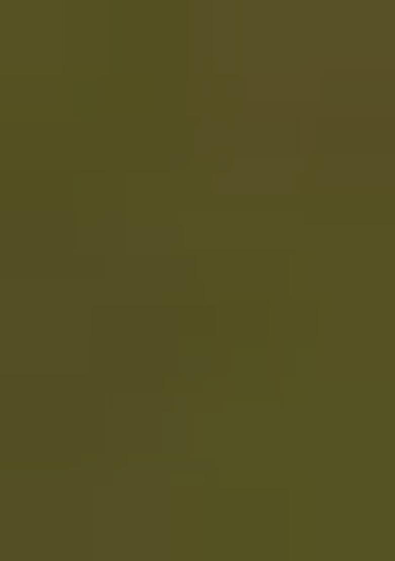 Girls Green Sequin Embellished Blouse Georgette Lehenga Set