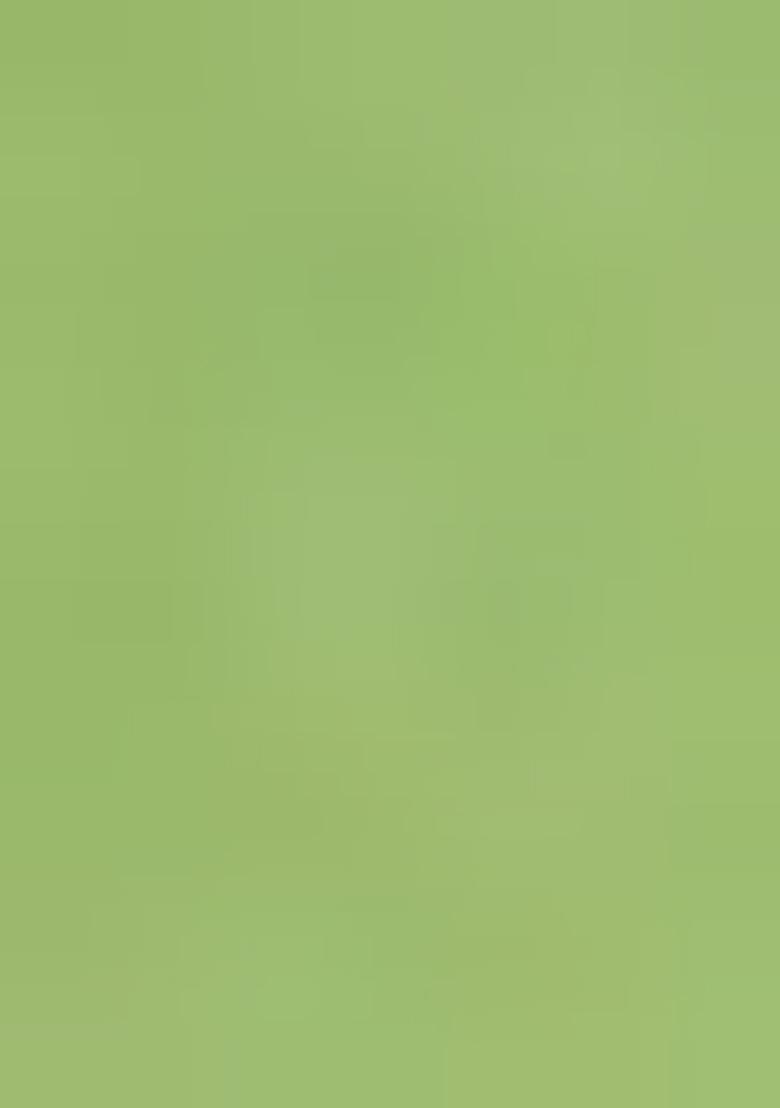 Girls Parrot Green Embroidered Work Georgette Sharara Set - Indya