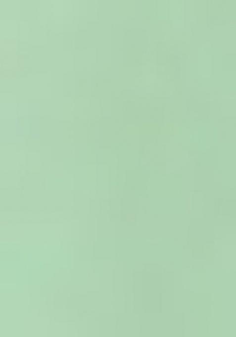 Girls Green Floral Print Georgette Sharara Set