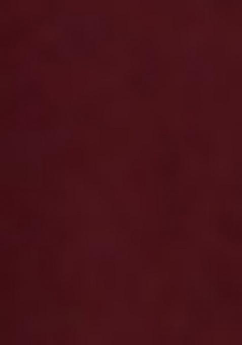 Girls Brown Floral Print Georgette Anarkali Set