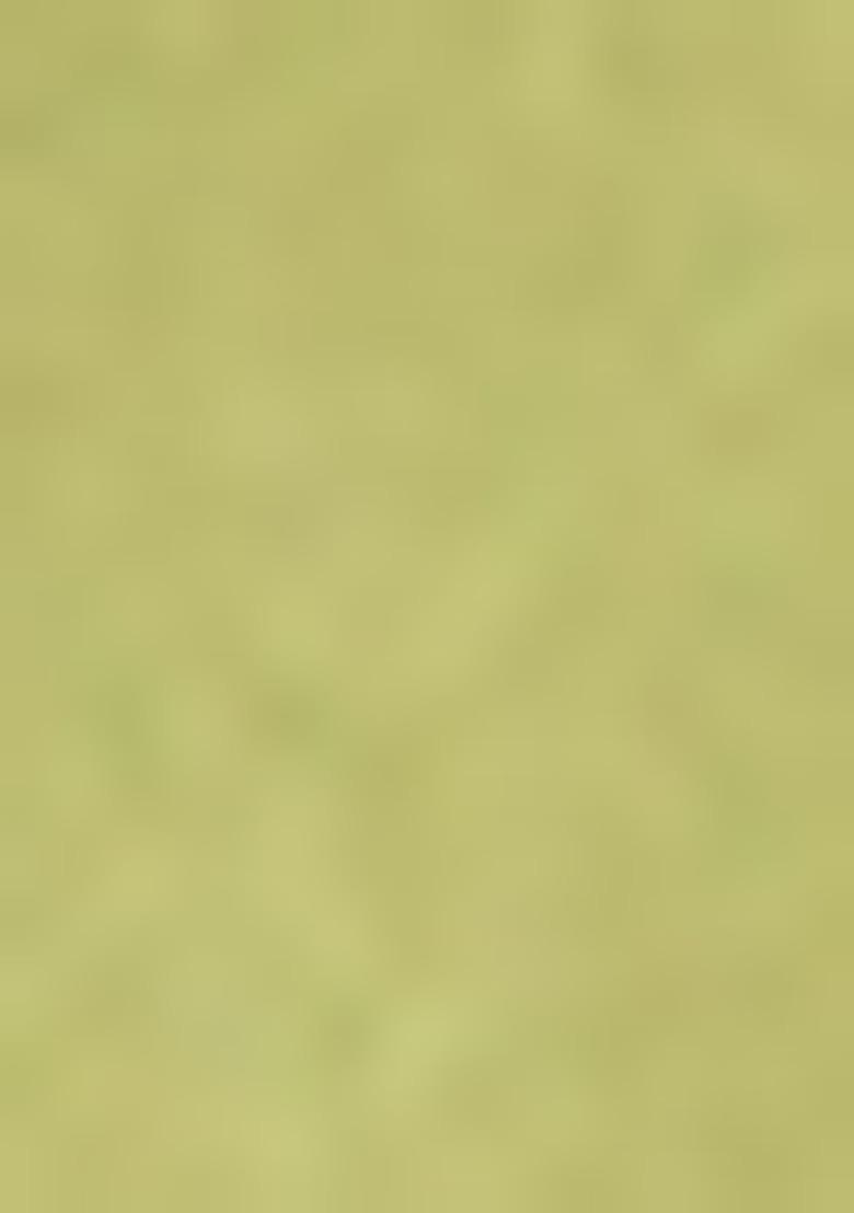 Girls Green Solid Organza Kurta Set