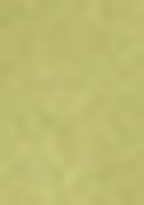 Girls Green Solid Organza Kurta Set