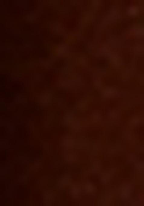 Girls Brown Foil Print Knit Sharara Set