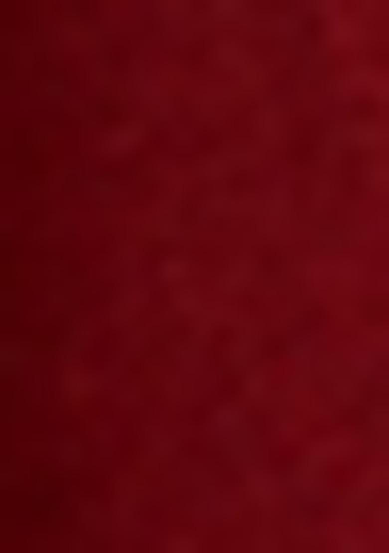 Girls Maroon Embroidered Georgette Lehenga Set