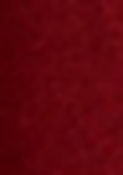 Girls Maroon Embroidered Georgette Lehenga Set