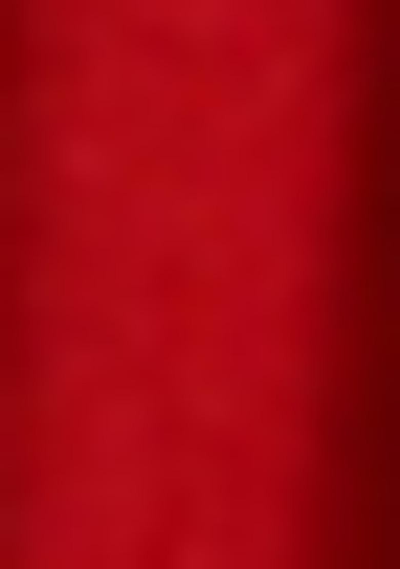 Girls Red Embroidered Georgette Lehenga Set