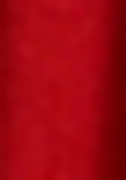 Girls Red Embroidered Georgette Lehenga Set