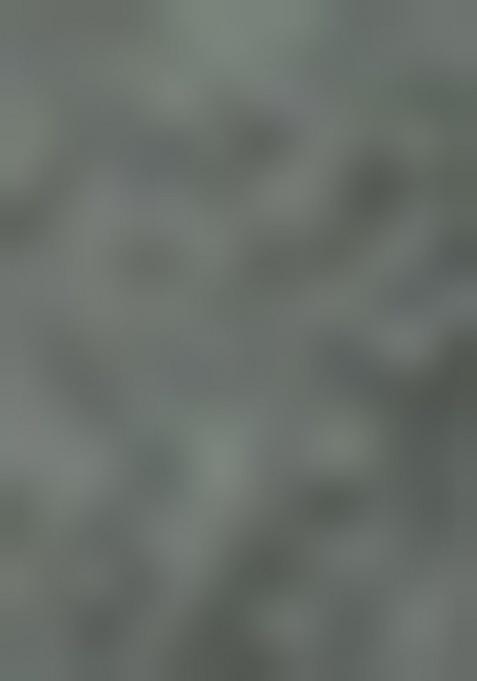 Girls Grey Floral Print Tussar Lehenga Set