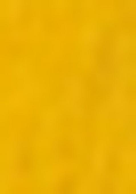 Girls Yellow Sequin Georgette Lehenga Set