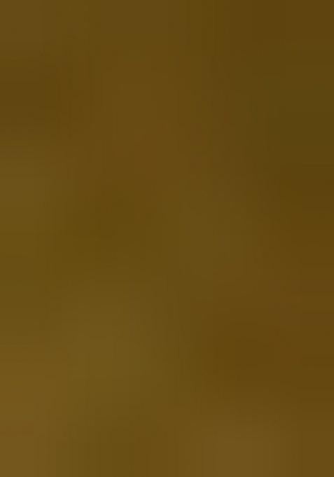 Girls Green Embroidered Chiffon Lehenga Set