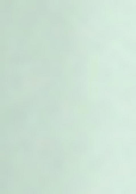 Mint Green Satin Embroidered Fusion Set For Girls