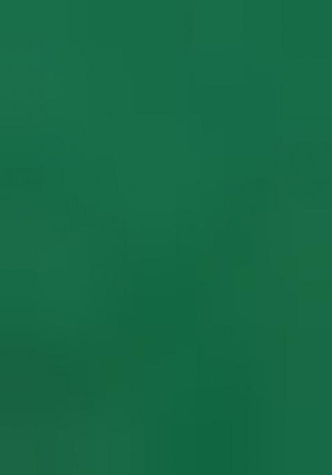 Multi Color Rayon Floral Print Fusion Set For Girls