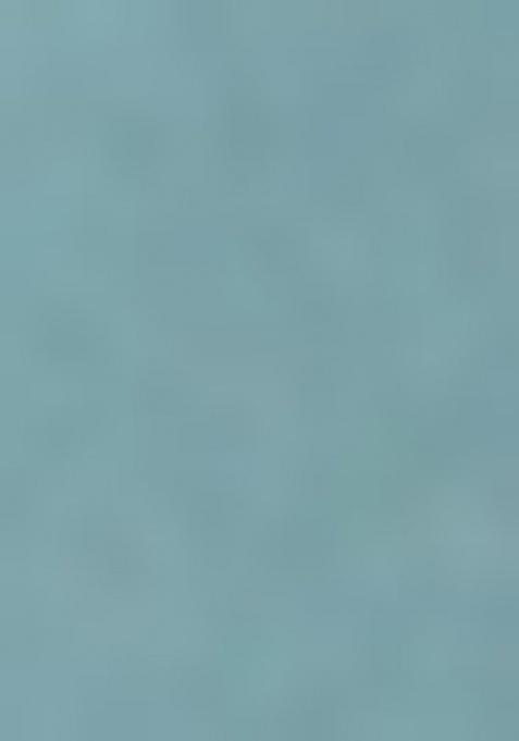 Sage Green Georgette Embellished Sharara Set For Girls