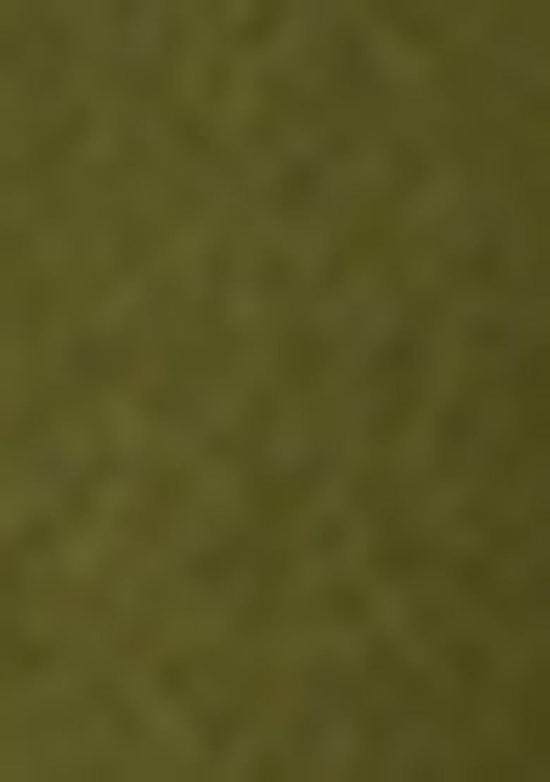 Green Georgette Embellished Sharara Set For Girls