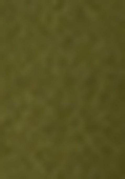 Green Georgette Embellished Sharara Set For Girls