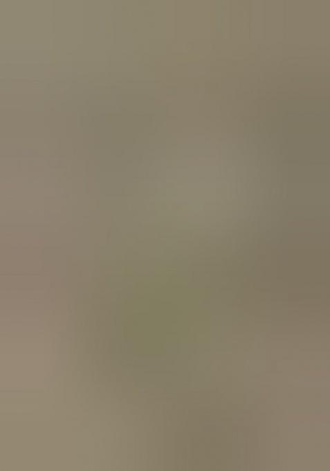 Olive Chinon Embellished Lehenga Set For Girls