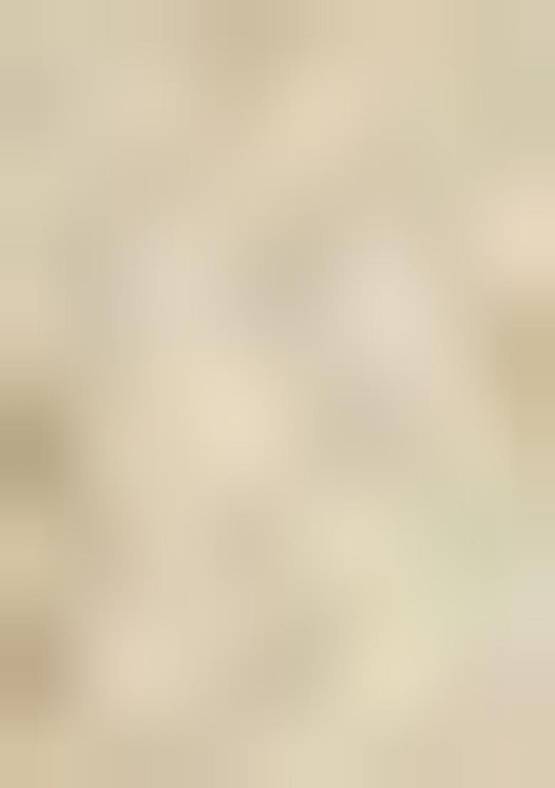 Beige Brocade Lehenga Set For Girls