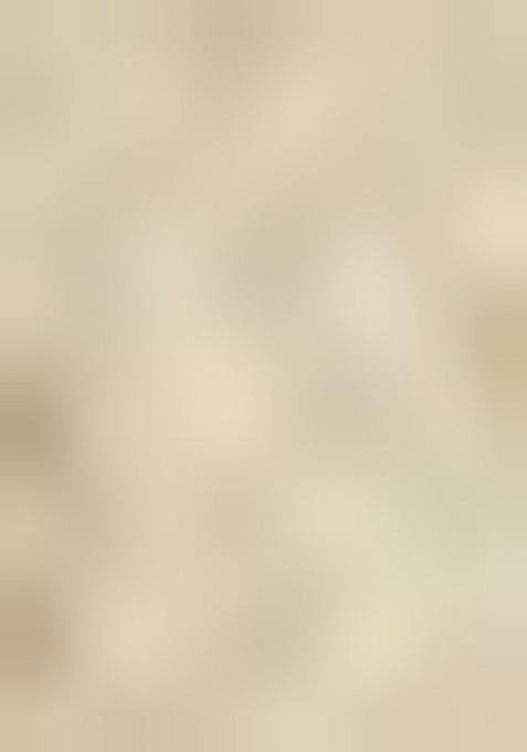 Beige Brocade Lehenga Set For Girls