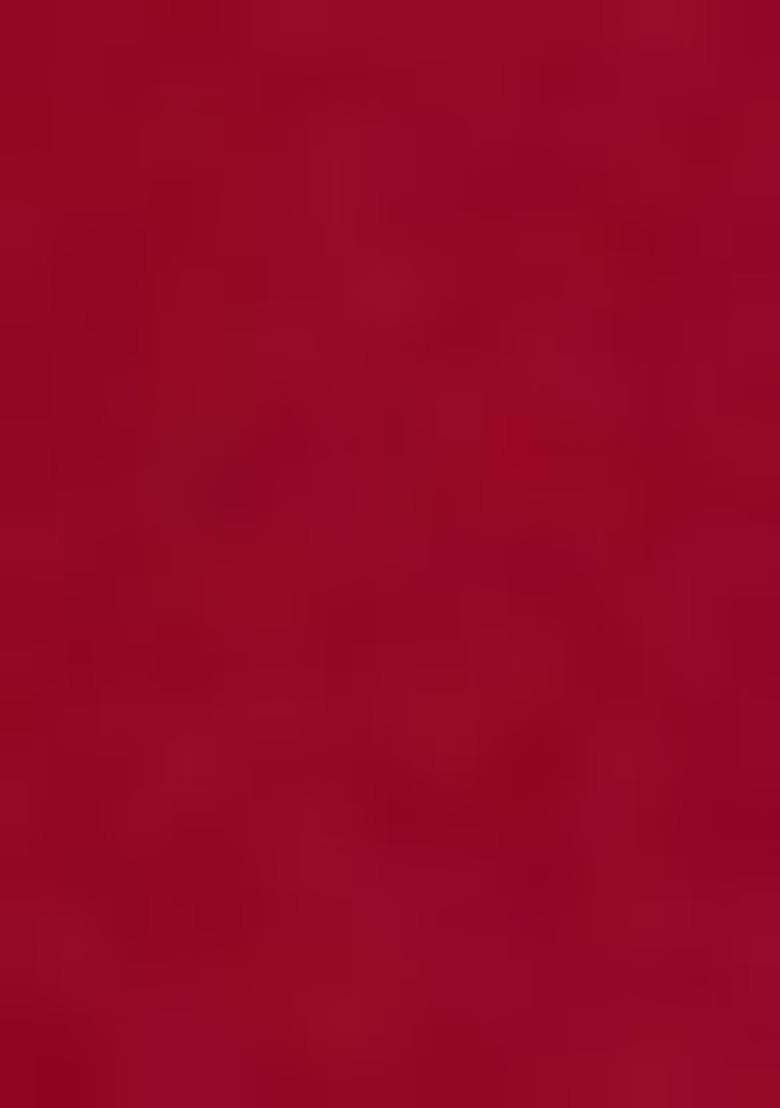 Red Crepe Embroidered Lehenga Set For Girls