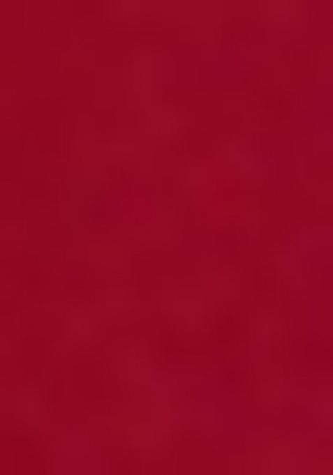 Red Crepe Embroidered Lehenga Set For Girls