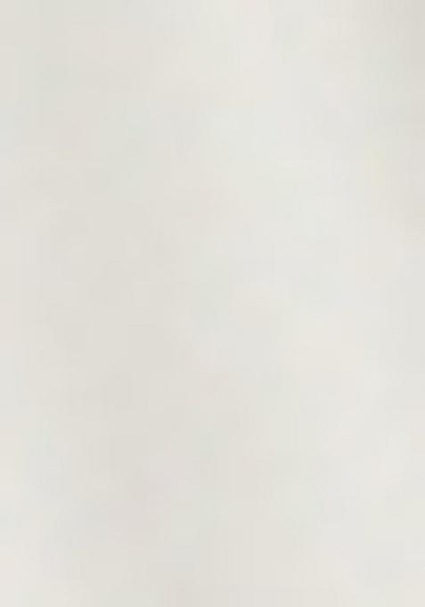 White Georgette Embroidered Lehenga Set For Girls