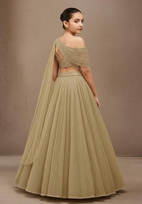 Golden Net Zari Work Lehenga Set For Girls