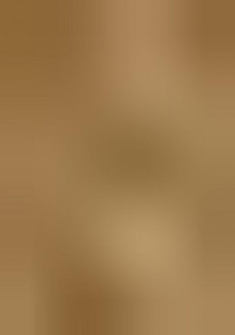 Golden Net Zari Work Lehenga Set For Girls