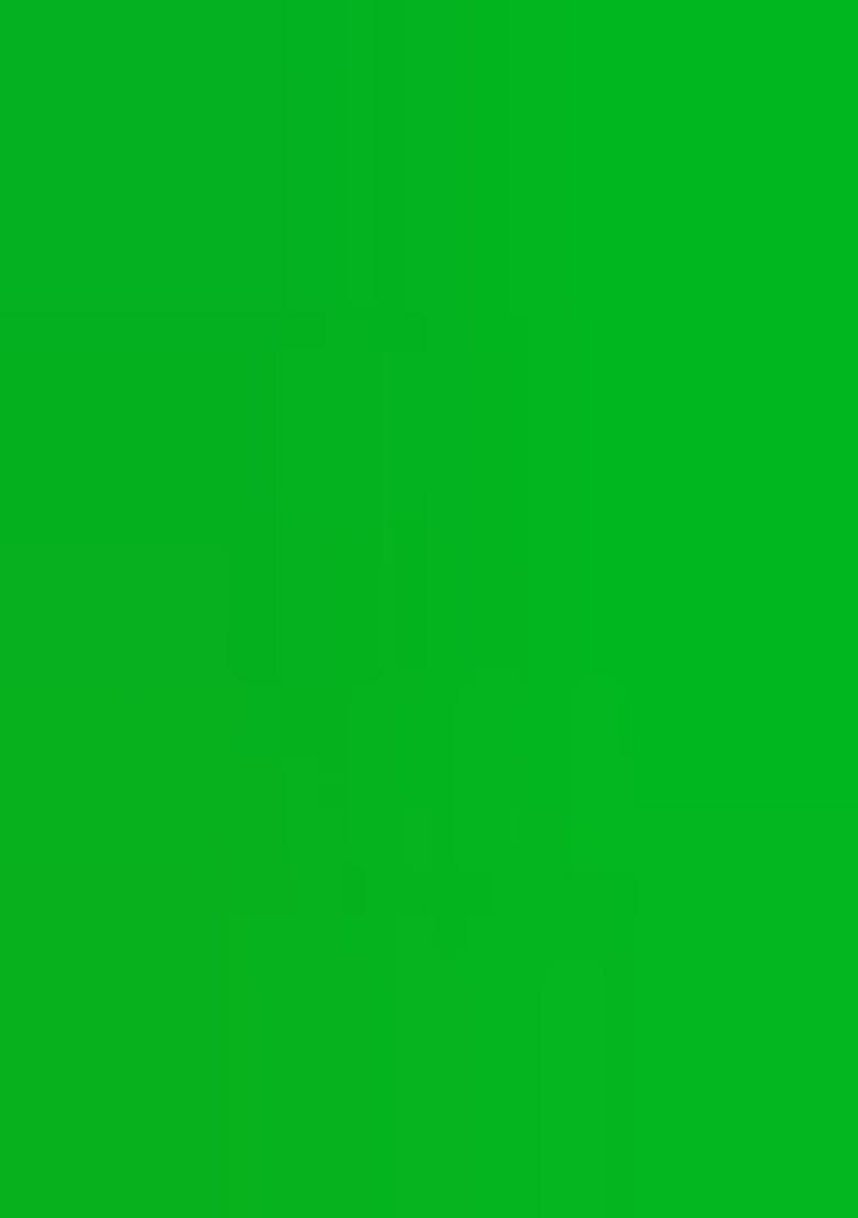 Green Georgette Floral Print Lehenga Set For Girls