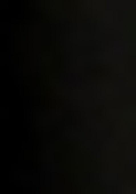 Black Organza Floral Print Lehenga Set For Girls