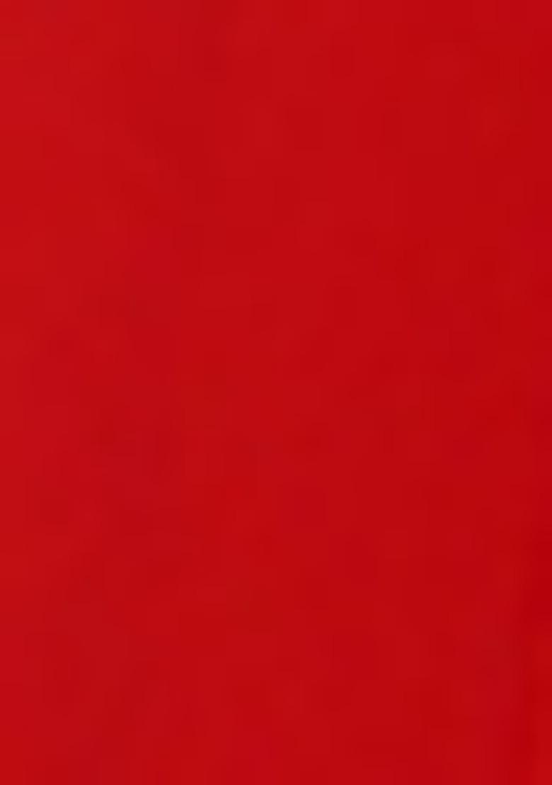 Red Net Embroidered Lehenga Set For Girls