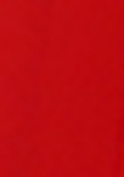 Red Net Embroidered Lehenga Set For Girls