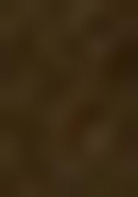 Black And Golden Self Design Lehenga Set For Girls