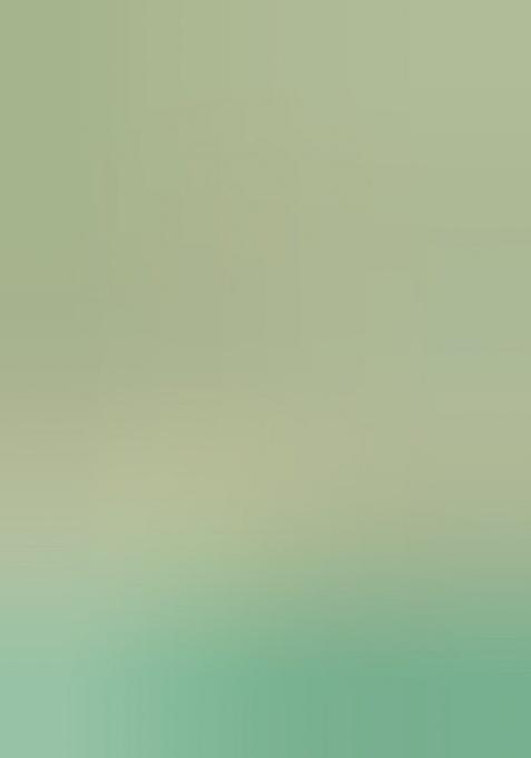 Sea Green Chinon Floral Print Pre Draped Saree Set For Girls