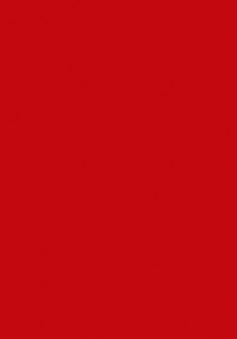 Girls Red Embellished Satin Fusion Set