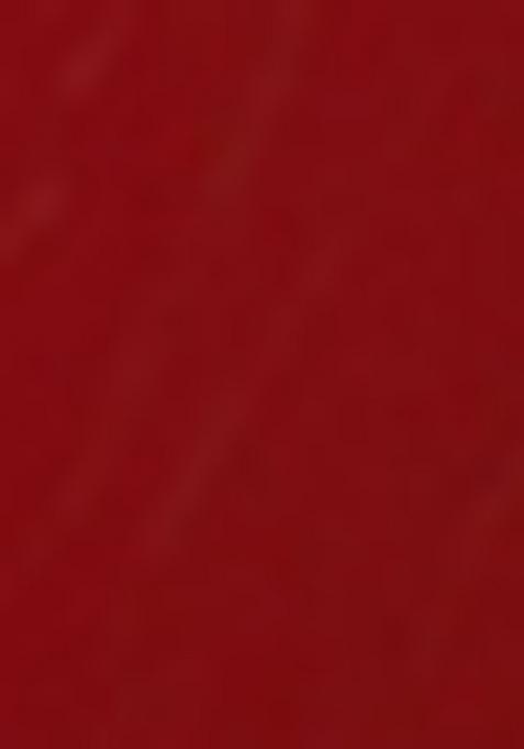 Girls Red Embellished Georgette Fusion Set