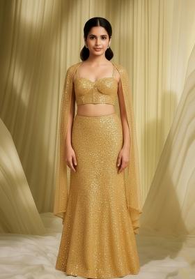 Girls Beige Embroidered Net Fusion Set