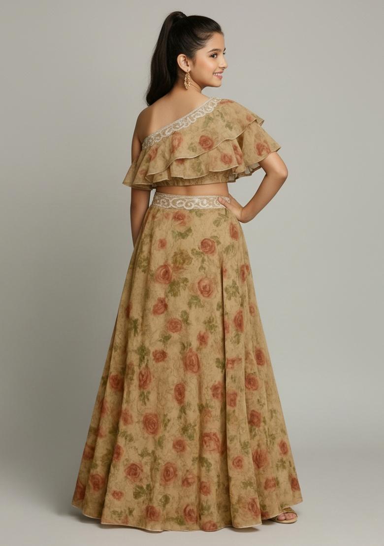 Girls Khakhee Brown Embroidered Georgette Fusion Set - Indya