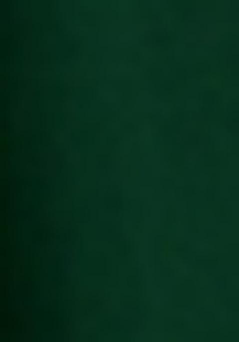 Girls Dark Green Embroidered Georgette Sharara Set