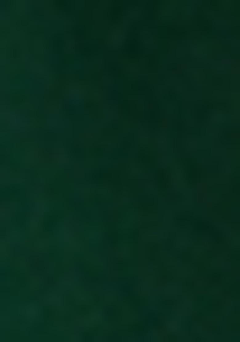 Girls Green Brocade Kurta Set