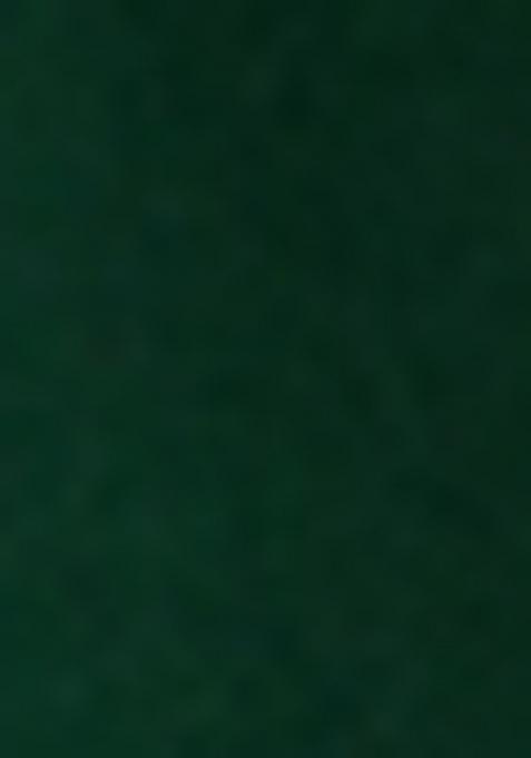 Girls Green Brocade Kurta Set