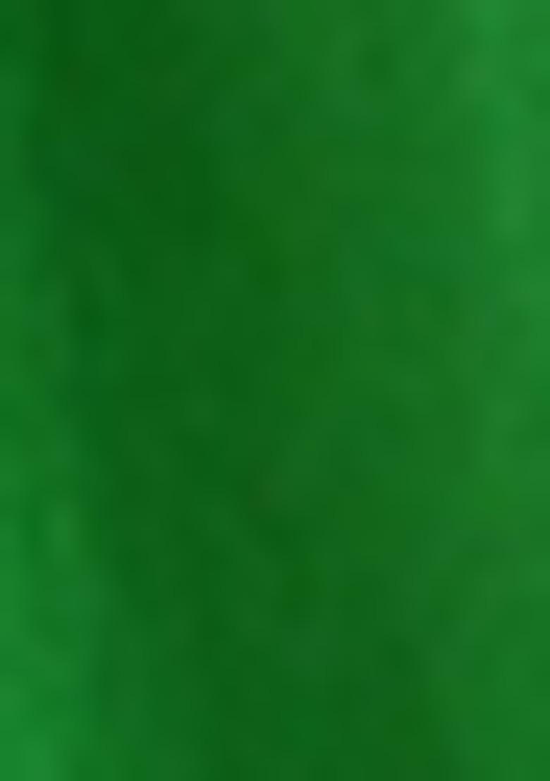 Girls Light Green Brocade Kurta Set