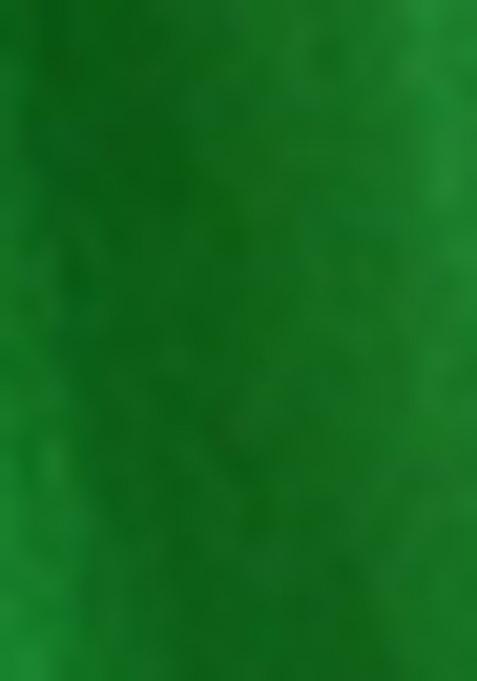 Girls Light Green Brocade Kurta Set