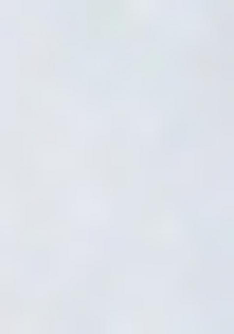 Girls Multicolor Floral Print Rayon Lehenga Set