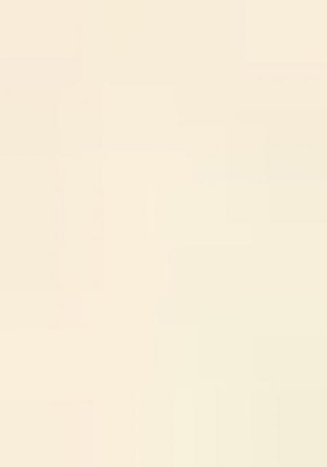 Girls Off White Floral Print Crepe Lehenga Set