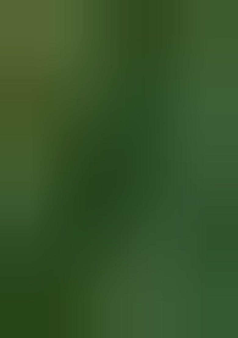 Girls Green Brocade Dress